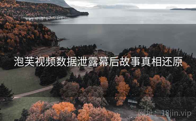 泡芙视频数据泄露幕后故事真相还原