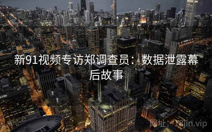 新91视频专访郑调查员：数据泄露幕后故事