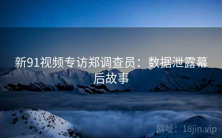 新91视频专访郑调查员：数据泄露幕后故事