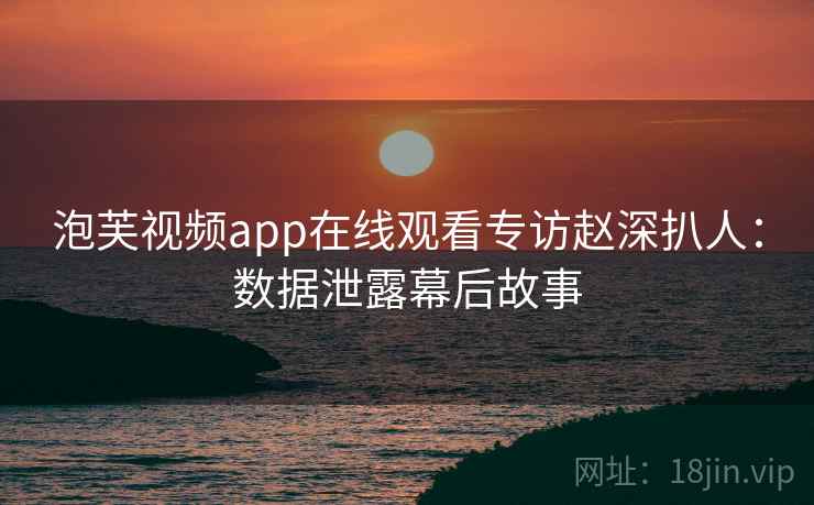 泡芙视频app在线观看专访赵深扒人：数据泄露幕后故事