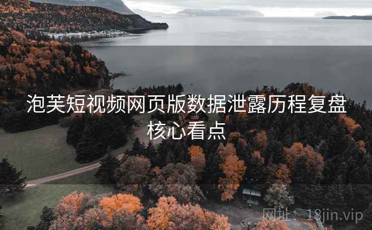 泡芙短视频网页版数据泄露历程复盘核心看点
