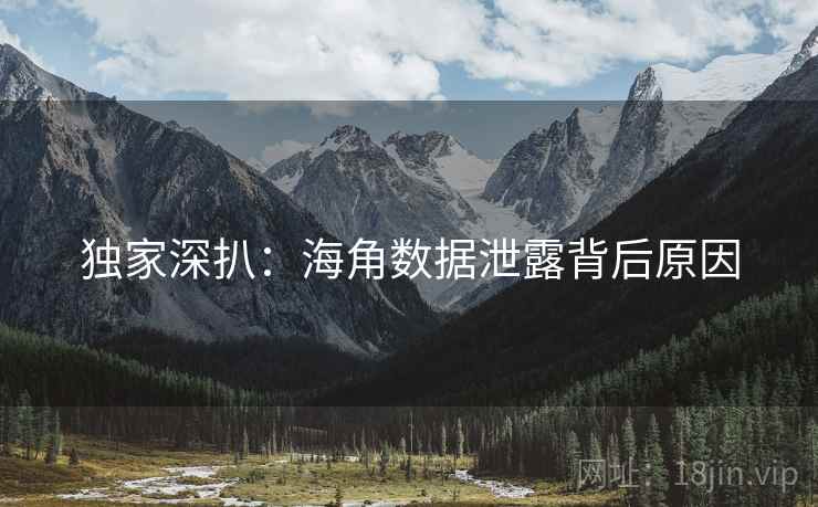 独家深扒：海角数据泄露背后原因