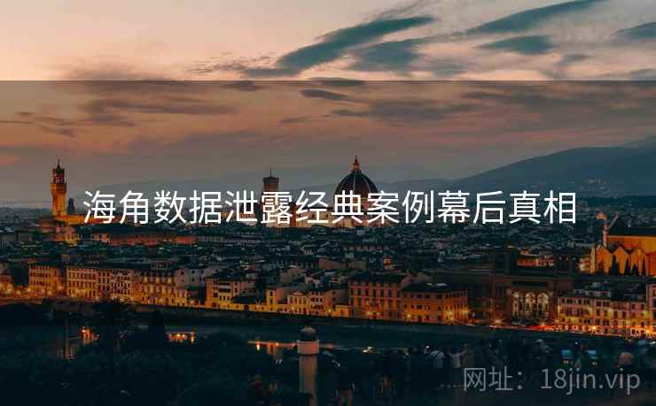海角数据泄露经典案例幕后真相