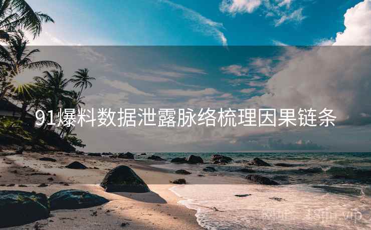 91爆料数据泄露脉络梳理因果链条