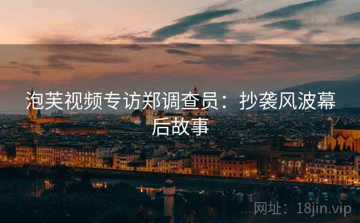 泡芙视频专访郑调查员：抄袭风波幕后故事